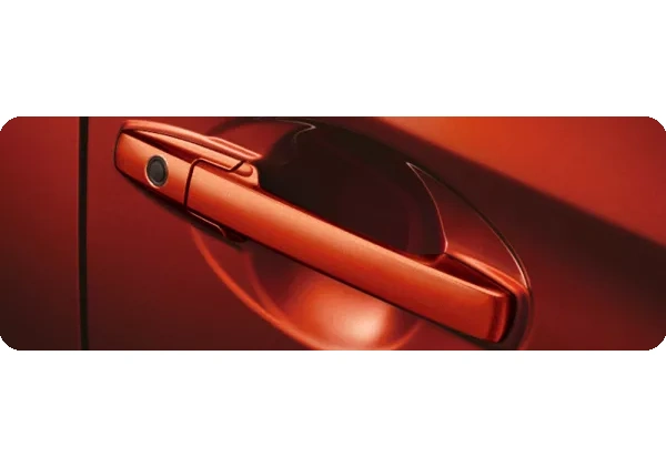 New Smart Entry System